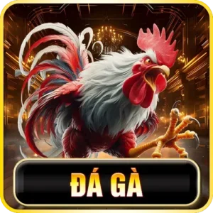 poster đá gà
